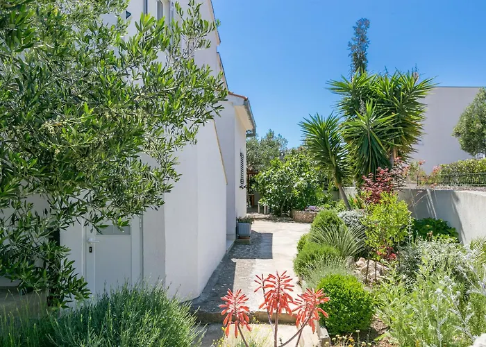 Razanj 12733b Appartement